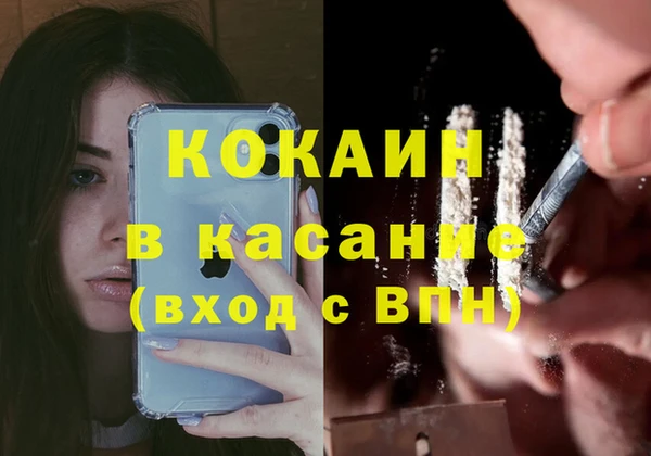 мяу мяу мука Абаза