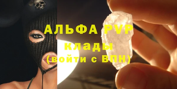 дмт Новодвинск